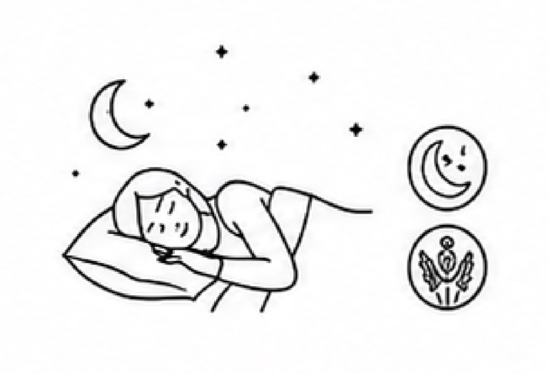 수면건강|Sleep Care