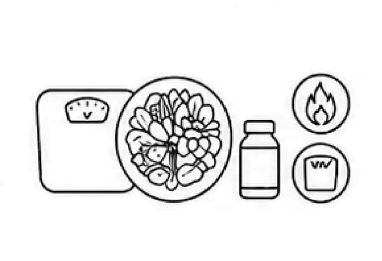 다이어트|Diet Care